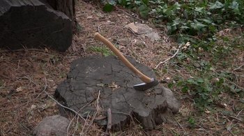 Movie still from “Creep” (2014), directed by Patrick Brice – An axe stuck in the middle of a tree stump; Close Up shot, High angle