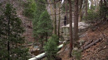Movie still from “Creep” (2014), directed by Patrick Brice – A person standing on a rock in the woods; Extreme Wide shot, High angle