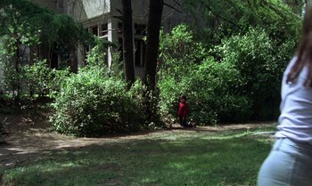 Movie still from “Cría Cuervos” (1976), directed by Carlos Saura – A person sitting on the ground near a bush; Extreme Wide shot, High angle