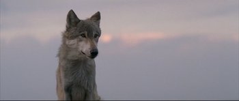 Movie still from “Dances with Wolves” (1990), directed by Kevin Costner – A wolf sitting on top of a hill looking into the distance; Medium shot, Low angle