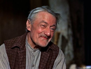 Movie still from “Darby O'Gill and the Little People” (1959), directed by Robert Stevenson – An older man with a gray hair and a gray beard; Close Up shot, Low angle