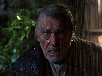 Movie still from “Darby O'Gill and the Little People” (1959), directed by Robert Stevenson – An old man with a wet face in the rain; Close Up shot, Low angle