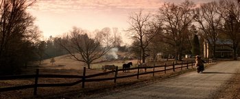 Movie still from “Days of Thunder” (1990), directed by Tony Scott – Horses grazing in a fenced in field at dusk; Extreme Wide shot, High angle
