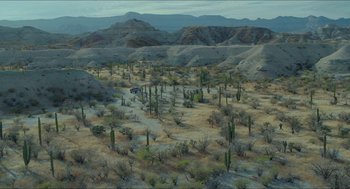 Movie still from “Desierto” (2015), directed by Jonás Cuarón – An image of a desert scene with cacti in the foreground; Extreme Wide shot, High angle