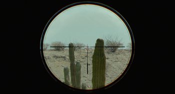 Movie still from “Desierto” (2015), directed by Jonás Cuarón – A view of a cactus from a rifle scope; Extreme Close Up shot, High angle