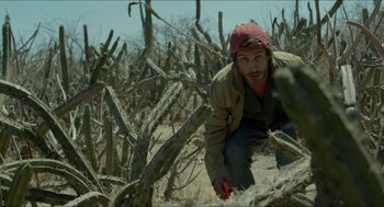 Movie still from “Desierto” (2015), directed by Jonás Cuarón – A man kneeling down in the middle of a cactus field; Medium shot, Low angle