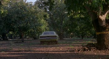 Movie still from “Dirty Mary Crazy Larry” (1974), directed by John Hough – A car parked in the middle of an orchard; Extreme Wide shot, High angle