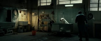 Movie still from “Dogman” (2018), directed by Matteo Garrone – A white dog sitting in a room next to a window; Wide shot, High angle