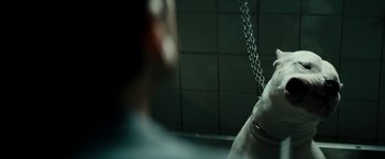 Movie still from “Dogman” (2018), directed by Matteo Garrone – A person sitting on a swing in a dark room; Close Up shot, Over the shoulder angle