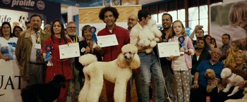 Movie still from “Dogman” (2018), directed by Matteo Garrone – A group of people standing around a dog; Wide shot, Low angle