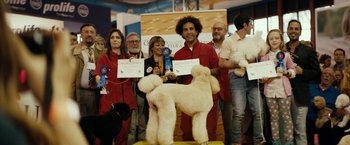 Movie still from “Dogman” (2018), directed by Matteo Garrone – A group of people standing next to each other with a dog; Wide shot, Low angle
