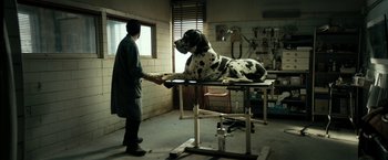 Movie still from “Dogman” (2018), directed by Matteo Garrone – A woman standing next to a large dog in a room; Wide shot, Low angle
