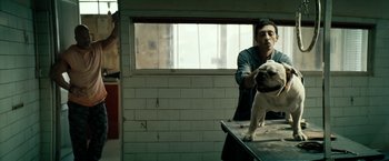Movie still from “Dogman” (2018), directed by Matteo Garrone – A man standing next to a dog in a room; Medium shot, Low angle
