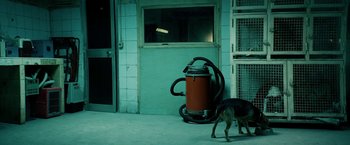 Movie still from “Dogman” (2018), directed by Matteo Garrone – Two dogs in front of a fire hydrant; Wide shot, High angle