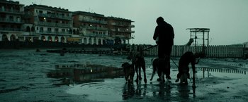 Movie still from “Dogman” (2018), directed by Matteo Garrone – A man and two dogs walking in the water; Wide shot, Low angle