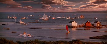 A group of sailboats in the water at sunset