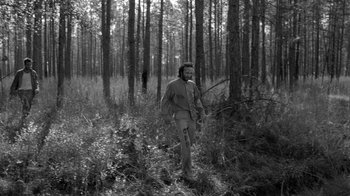 Movie still from “Down by Law” (1986), directed by Jim Jarmusch – A man walking through the woods with a gun; Wide shot, High angle