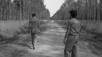Movie still from “Down by Law” (1986), directed by Jim Jarmusch – Two men walking down a dirt road near a forest; Wide shot, Over the shoulder angle