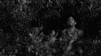 Movie still from “Down by Law” (1986), directed by Jim Jarmusch – A black and white photo of a man sitting in a bush; Medium shot, Low angle