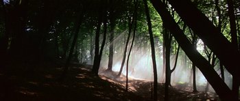 Movie still from “Dragonslayer” (1981), directed by Matthew Robbins – The sun is shining through the trees in the woods; Extreme Wide shot, Low angle