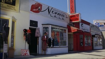 Movie still from “Eating Raoul” (1982), directed by Paul Bartel – A man standing in front of a store on a street corner; Extreme Wide shot, High angle