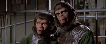 Movie still from “Escape from the Planet of the Apes” (1971), directed by Don Taylor – A couple of people that are dressed up like apes; Close Up shot, Low angle