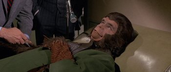 Movie still from “Escape from the Planet of the Apes” (1971), directed by Don Taylor – A man dressed as a monkey with a microphone in the background; Close Up shot, High angle