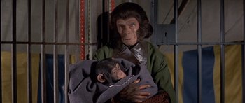 Movie still from “Escape from the Planet of the Apes” (1971), directed by Don Taylor – A woman holding a baby monkey in her arms; Close Up shot, High angle