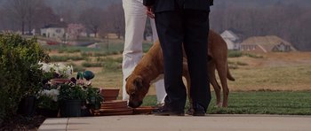 A dog sniffs a flower pot on the ground while two people stand nearby