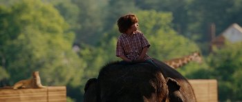 Movie still from “Evan Almighty” (2007), directed by Tom Shadyac – A boy sitting on the back of an elephant; Medium shot, Low angle