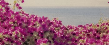 Movie still from “Everybody Loves Jeanne” (2022), directed by Céline Devaux – A painting of purple flowers in front of the ocean; Extreme Close Up shot, High angle