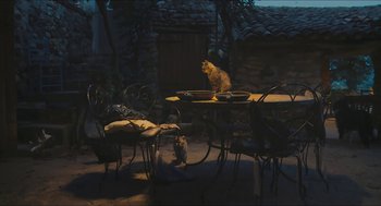 Movie still from “Faces Places” (2017), directed by Agnès Varda – A cat sitting on top of a table next to chairs; Wide shot, High angle