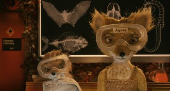 Movie still from “Fantastic Mr. Fox” (2009), directed by Wes Anderson – A couple of stuffed animals that are next to each other; Close Up shot, High angle