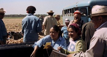 Movie still from “Fat City” (1972), directed by John Huston – A group of people standing next to each other on a field; Medium shot, High angle