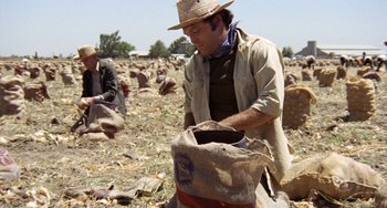 Movie still from “Fat City” (1972), directed by John Huston – A man wearing a hat and holding a bag in a field; Medium shot, High angle