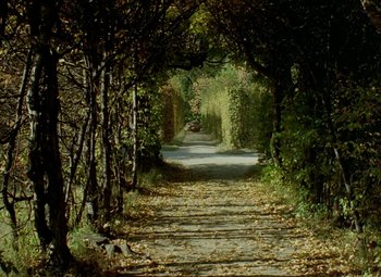 Movie still from “Faust” (1994), directed by Jan Svankmajer – A road with a lot of leaves on the ground; Extreme Wide shot, High angle