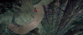 Movie still from “Flash Gordon” (1980), directed by Mike Hodges – A wooden path in the middle of a forest; Extreme Wide shot, Overhead angle