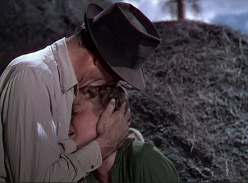 Movie still from “For Whom the Bell Tolls” (1943), directed by Sam Wood – A man and a woman kissing in a field; Close Up shot, Low angle