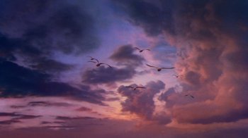 Movie still from “Forces of Nature” (1999), directed by Bronwen Hughes – A flock of birds flying through a cloudy sky at sunset; Extreme Wide shot, Low angle