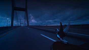 Movie still from “Forces of Nature” (1999), directed by Bronwen Hughes – A bird sitting on the side of a road near a bridge at night; Extreme Wide shot, High angle