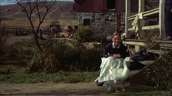 Movie still from “Friendly Persuasion” (1956), directed by William Wyler – A woman sitting next to a goose on the side of the road; Wide shot, High angle