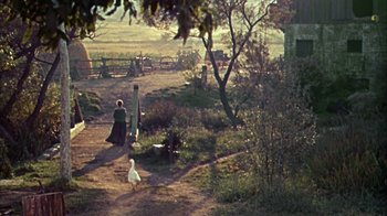 Movie still from “Friendly Persuasion” (1956), directed by William Wyler – A woman in a green dress and a white duck in a dirt field; Extreme Wide shot, High angle