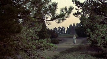 Movie still from “Friendly Persuasion” (1956), directed by William Wyler – A man in a white suit standing in the middle of a forest; Extreme Wide shot, High angle