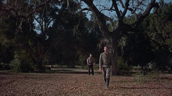 Movie still from “Friendly Persuasion” (1956), directed by William Wyler – A man walking in a field with a tree in the background; Wide shot, Low angle