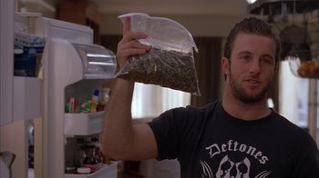 Movie still from “Friends with Money” (2006), directed by Nicole Holofcener – A man holding a bag of marijuana in front of a refrigerator; Close Up shot, Low angle