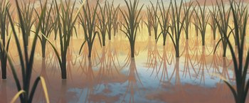 Movie still from “Funan” (2018), directed by Denis Do – A group of plants in a body of water; Extreme Wide shot, Low angle