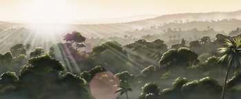 Movie still from “Funan” (2018), directed by Denis Do – The sun is shining through the trees in the jungle; Extreme Wide shot, Low angle