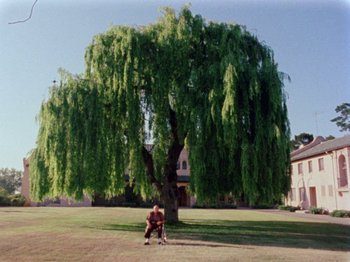 Movie still from “Gates of Heaven” (1978), directed by Errol Morris – A person sitting on a bench under a large tree; Extreme Wide shot, Low angle