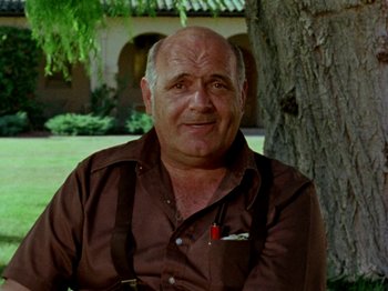 Movie still from “Gates of Heaven” (1978), directed by Errol Morris – An older man in a brown shirt sitting in front of a tree; Close Up shot, Low angle