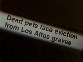 Movie still from “Gates of Heaven” (1978), directed by Errol Morris – A newspaper article about a dead pet's face evicted from los altos graves; Extreme Close Up shot, High angle